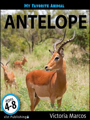 cover image of Antelope
